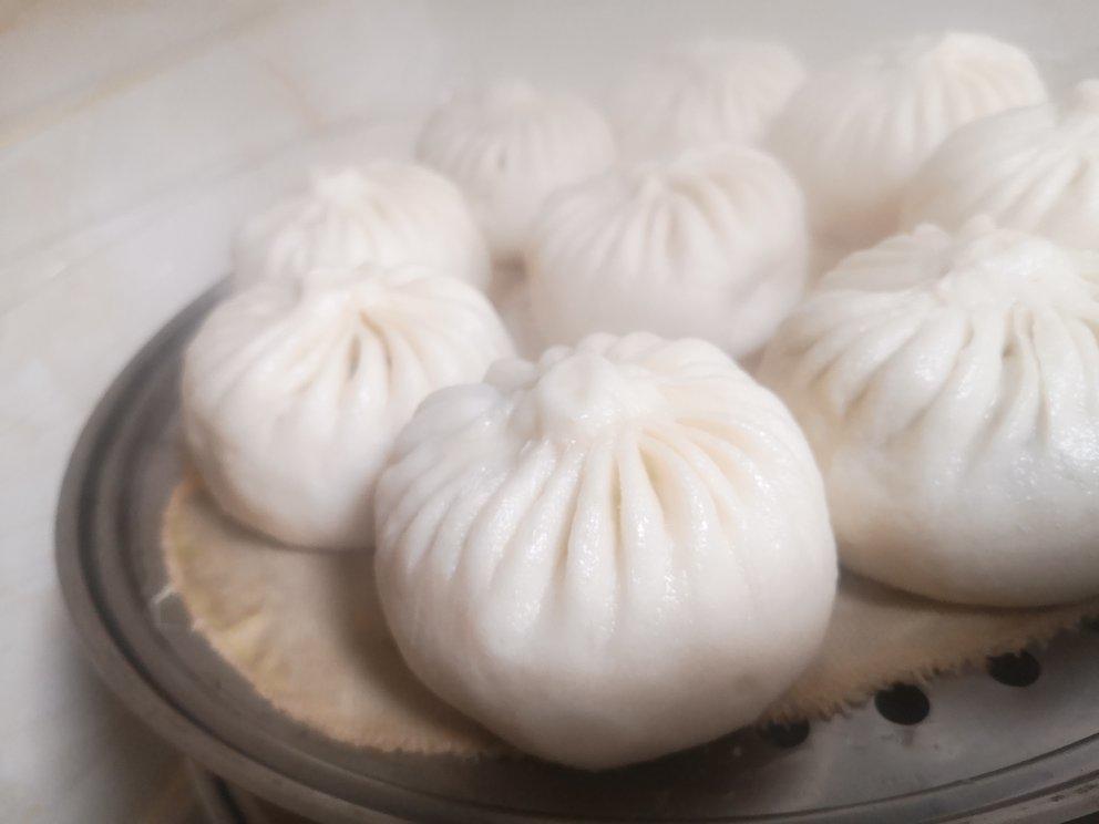 两款能开店的肉包子 | 酱肉包，鲜肉包