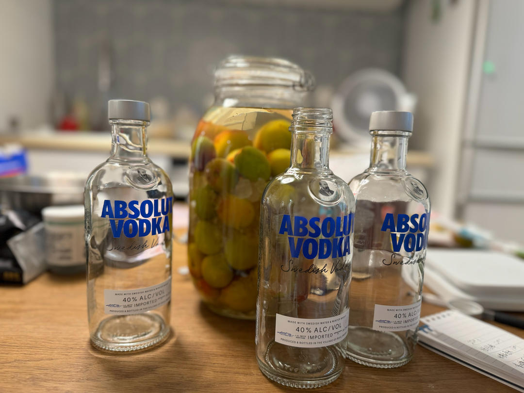 【青梅酒】梅子的沉醉时光（已填坑）