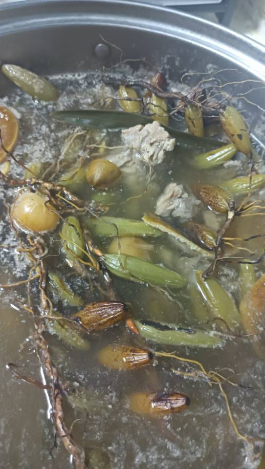 石橄榄骨头养阴清肺汤