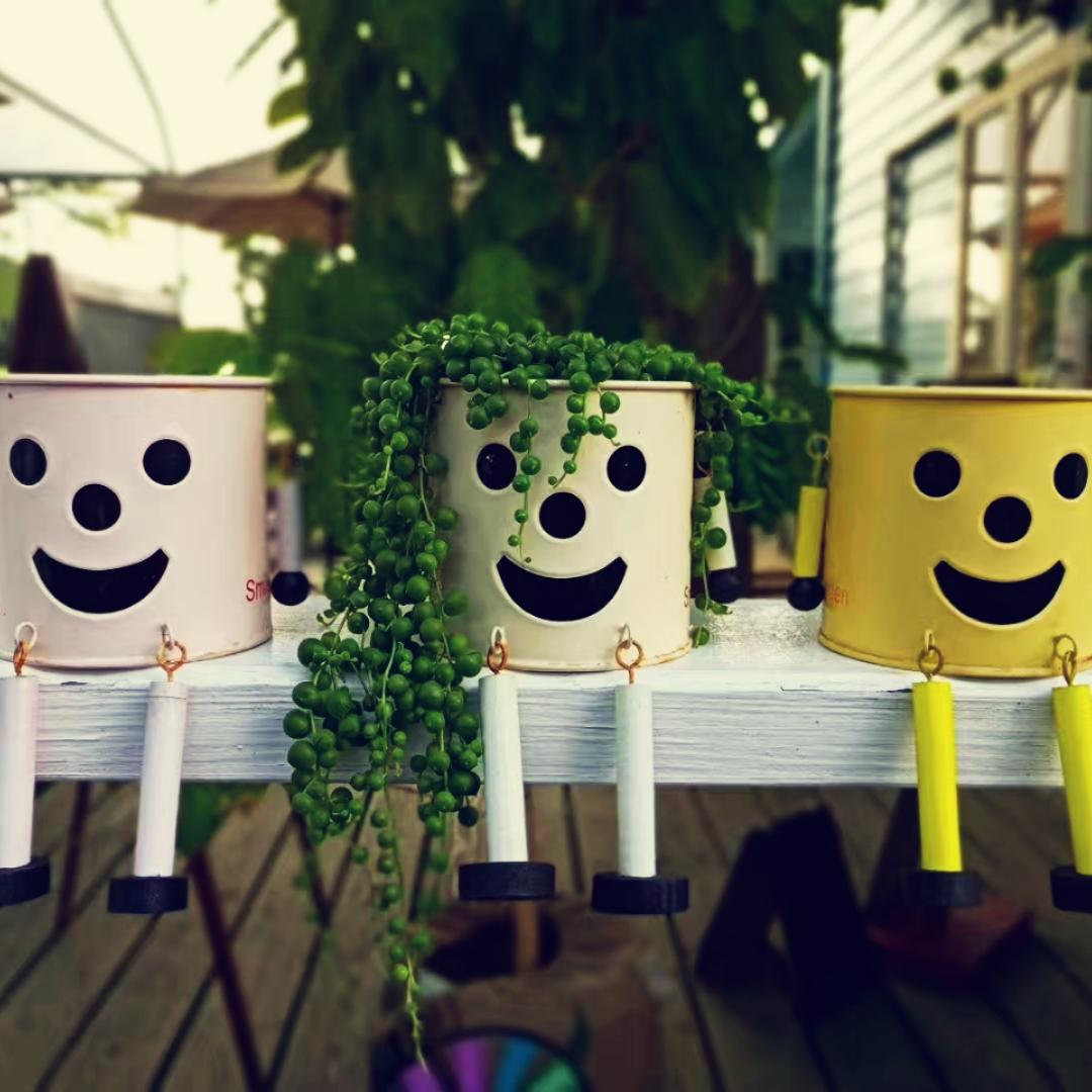 东东酱之巴拉巴拉