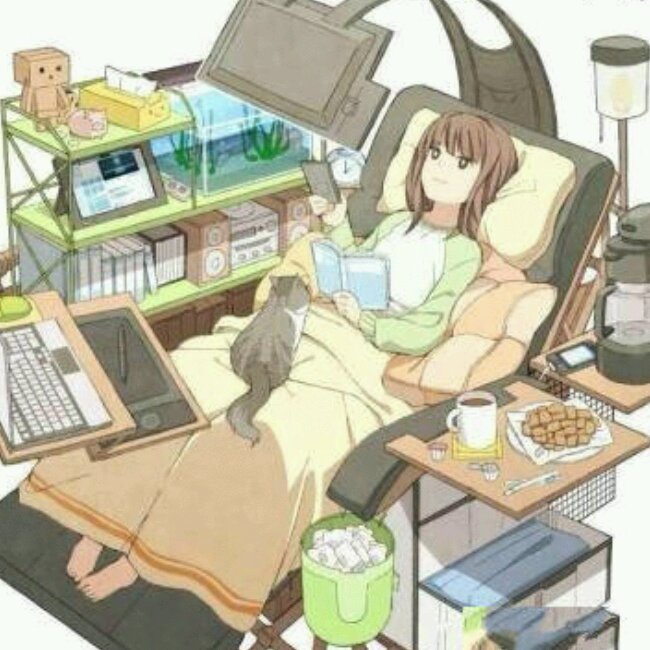 好菇凉-3