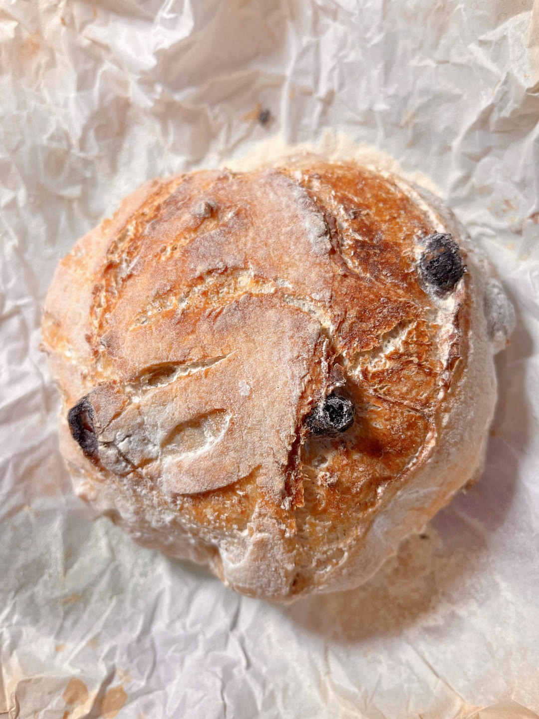 【外脆里软】小朋友都爱的无油无糖全麦酸奶乳清硬欧包乡村面包免手揉健身减脂