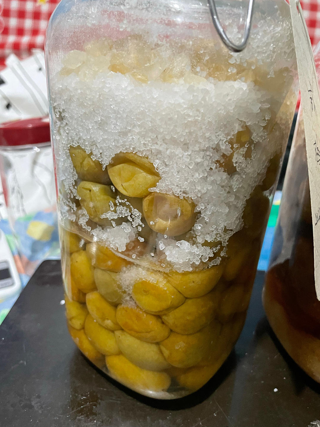 腌制咸梅（酸梅）
