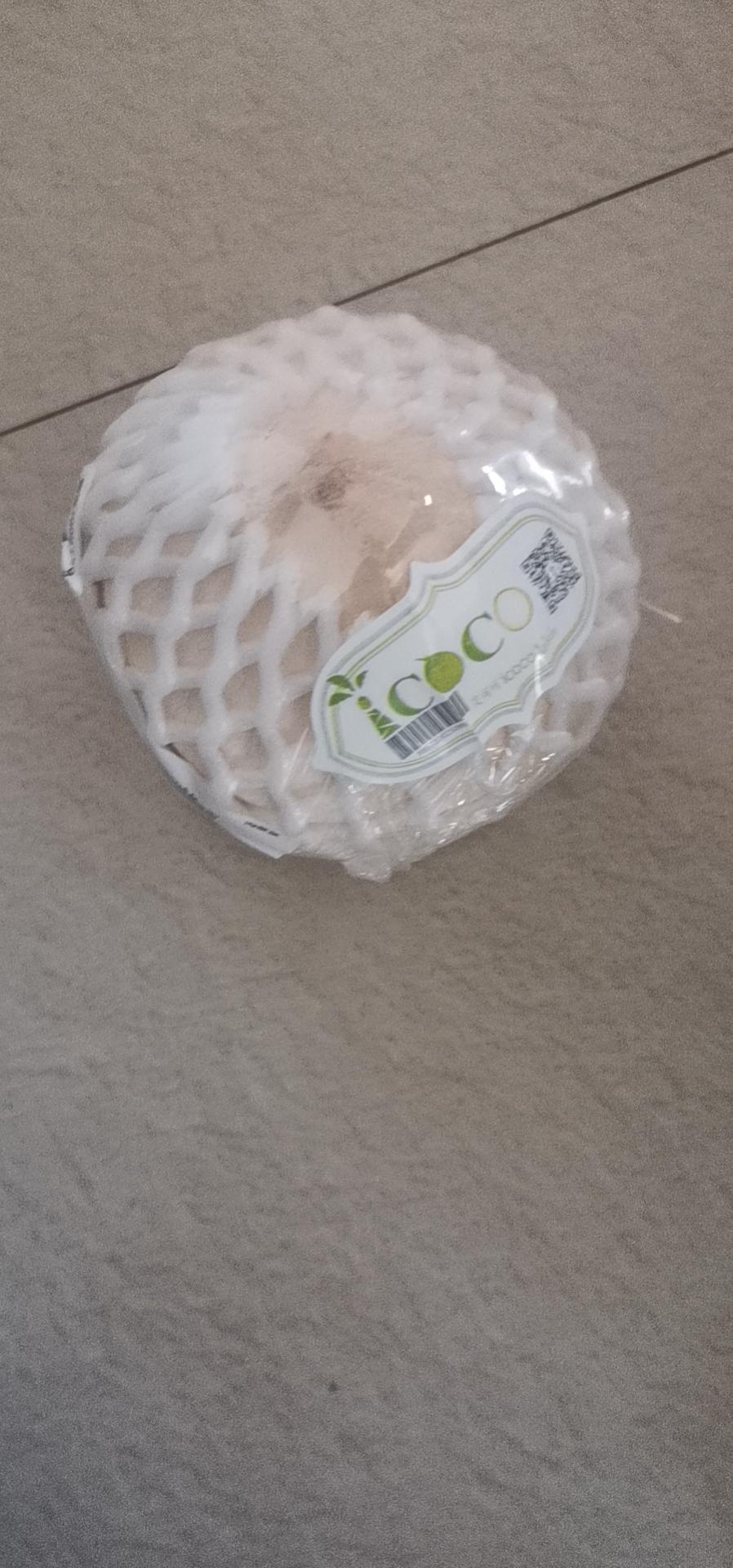 自制椰浆椰奶（简单又经济）