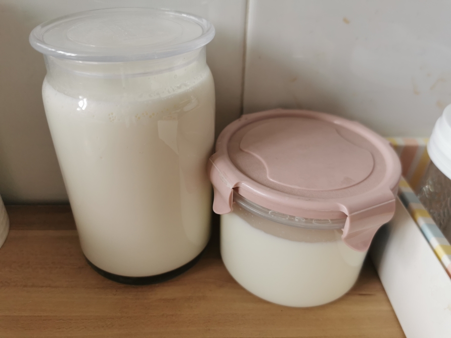 自制无糖酸奶（超简单）的做法 步骤17