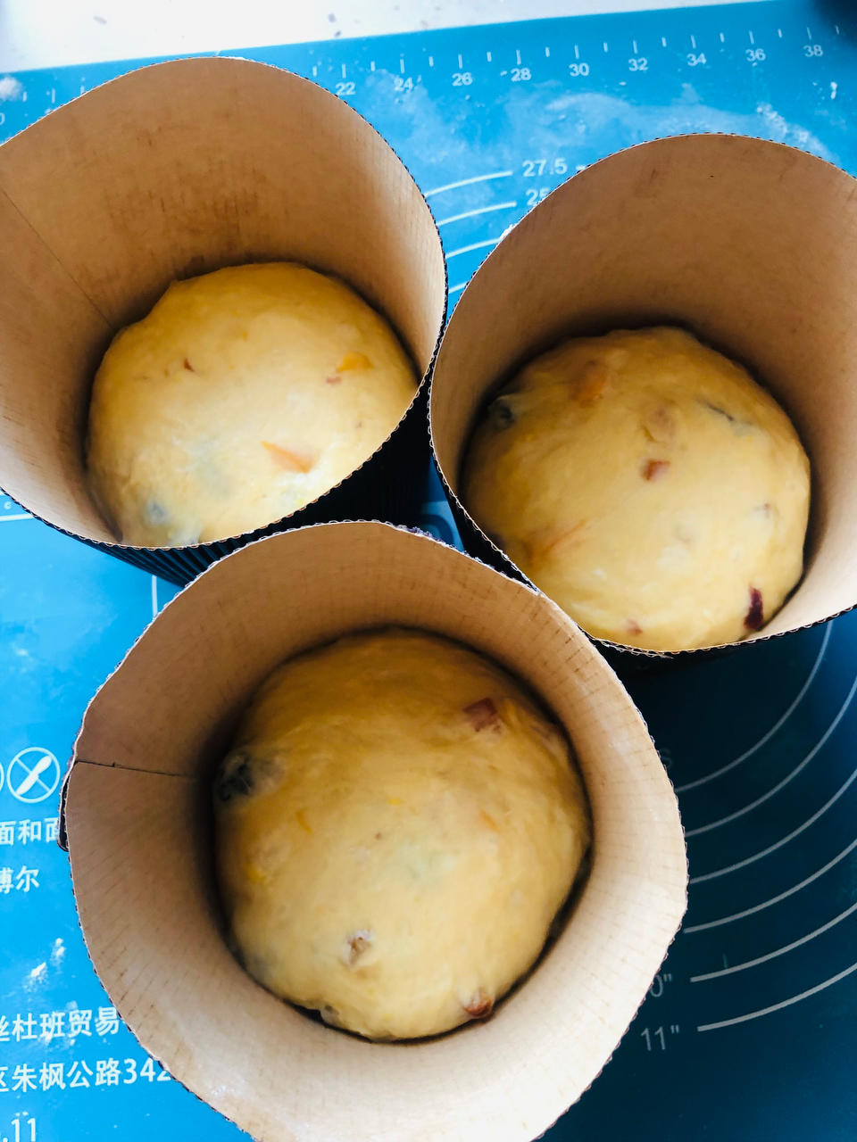 潘妮托尼(Panettone)
