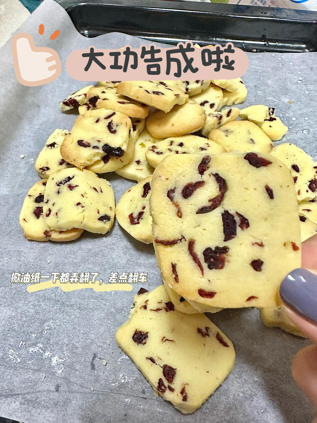 新手烘焙之蔓越莓饼干🍪