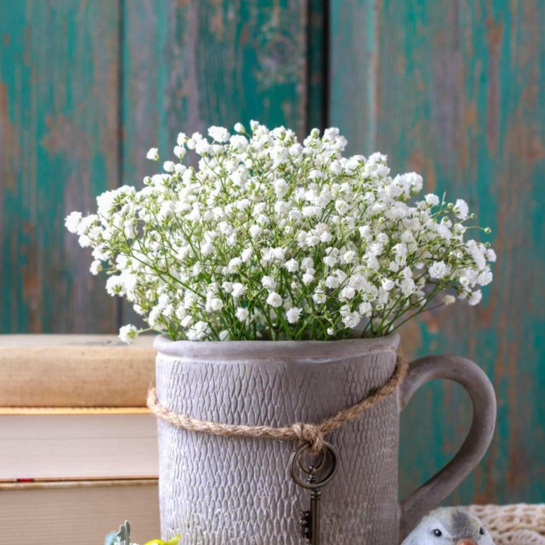 厨娘之黑暗料理