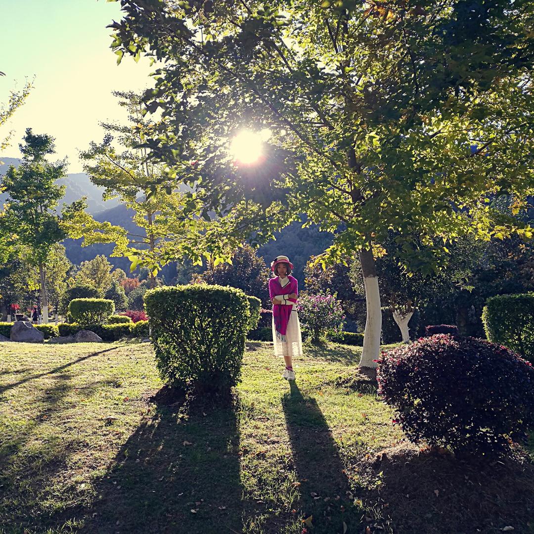 婆娑时光的故事