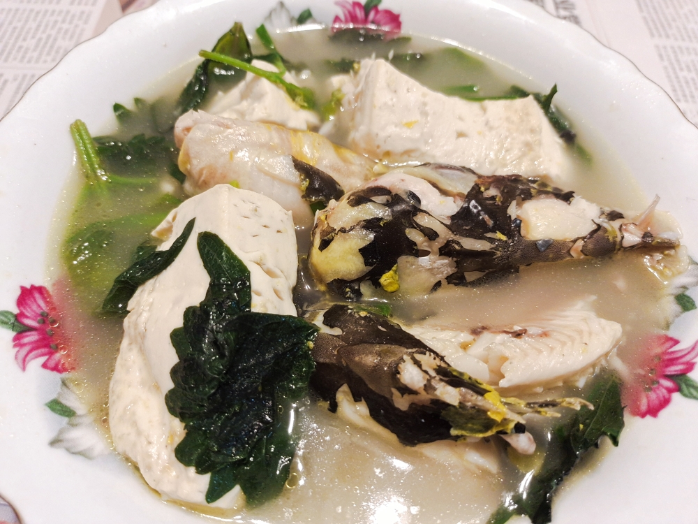 紫苏豆腐黄骨鱼汤