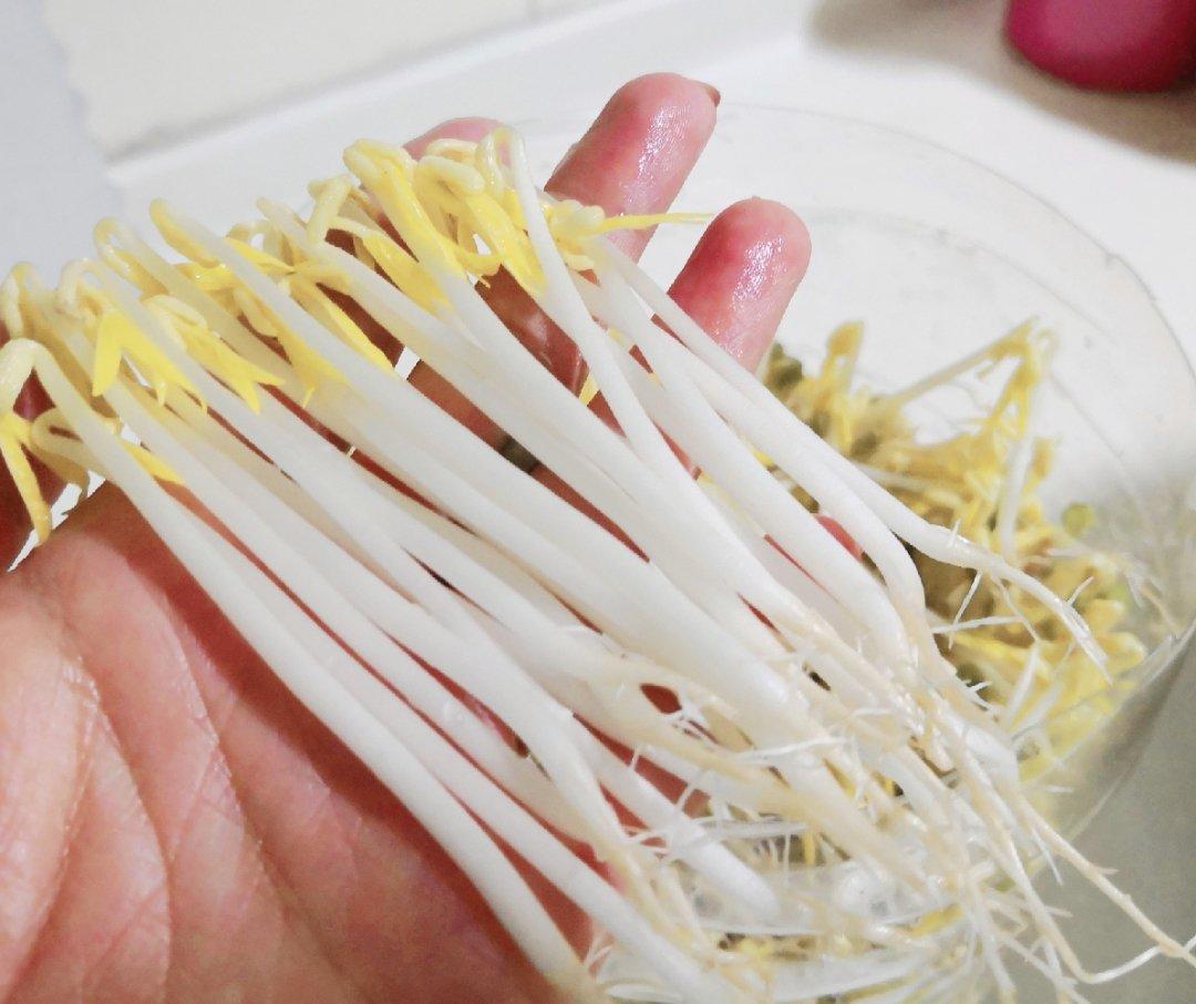 自发豆芽（可乐瓶发豆芽0失败！）
