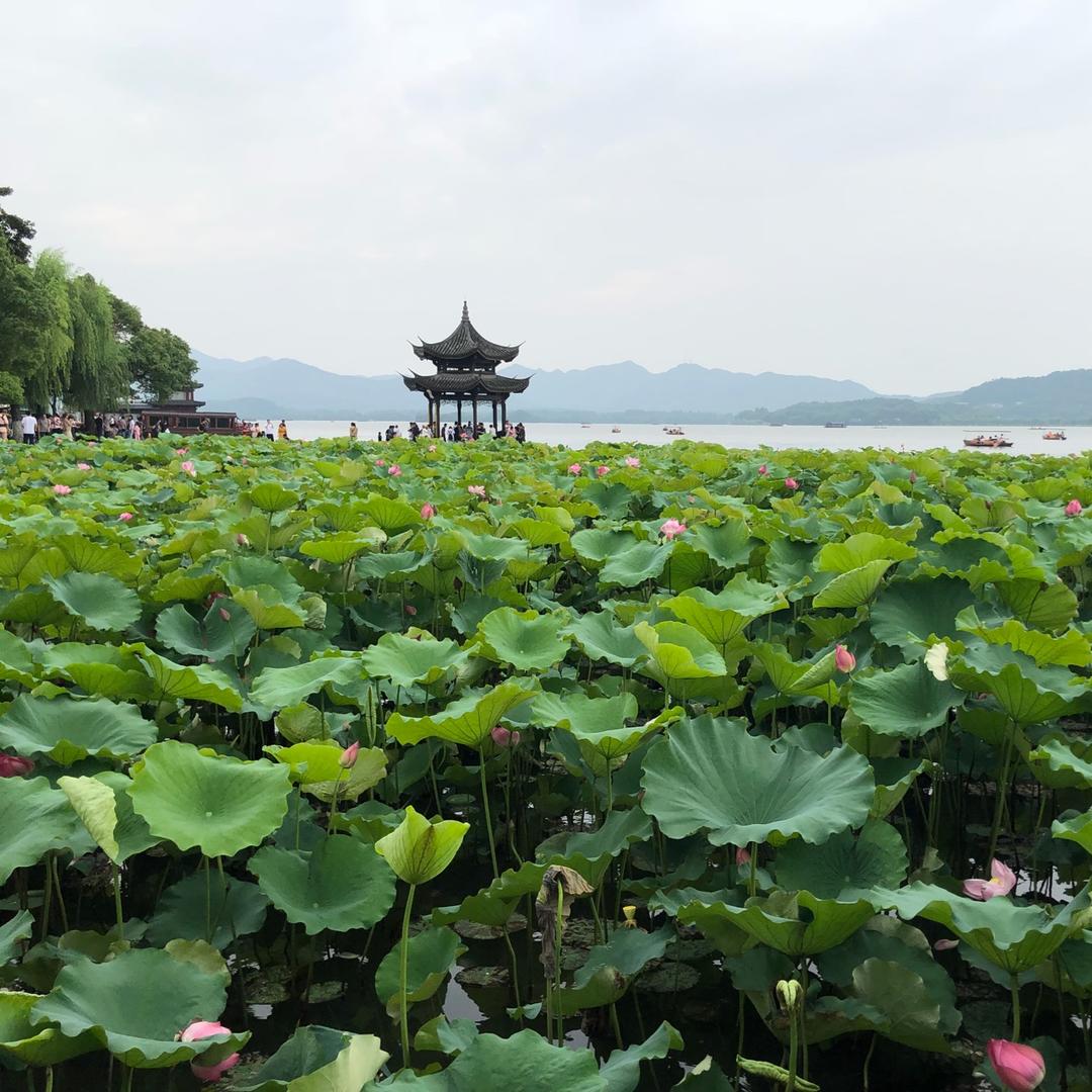 打酱油吖的厨房