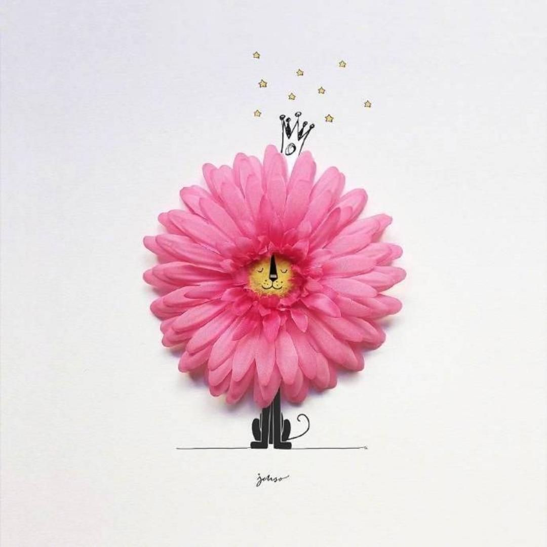 会跳芭蕾舞的猪