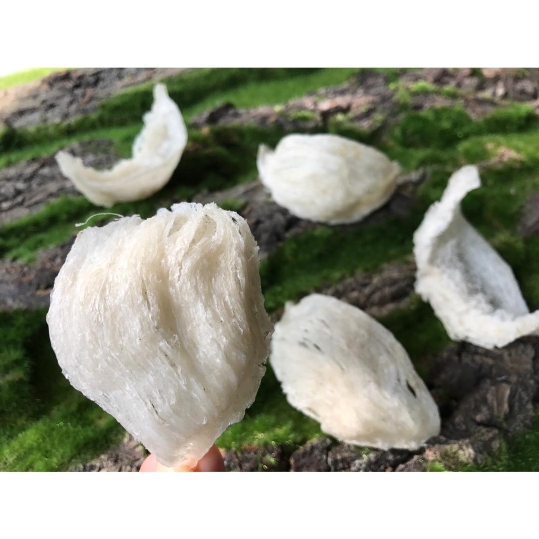 燕窝独家泡发挑毛（专业详细）