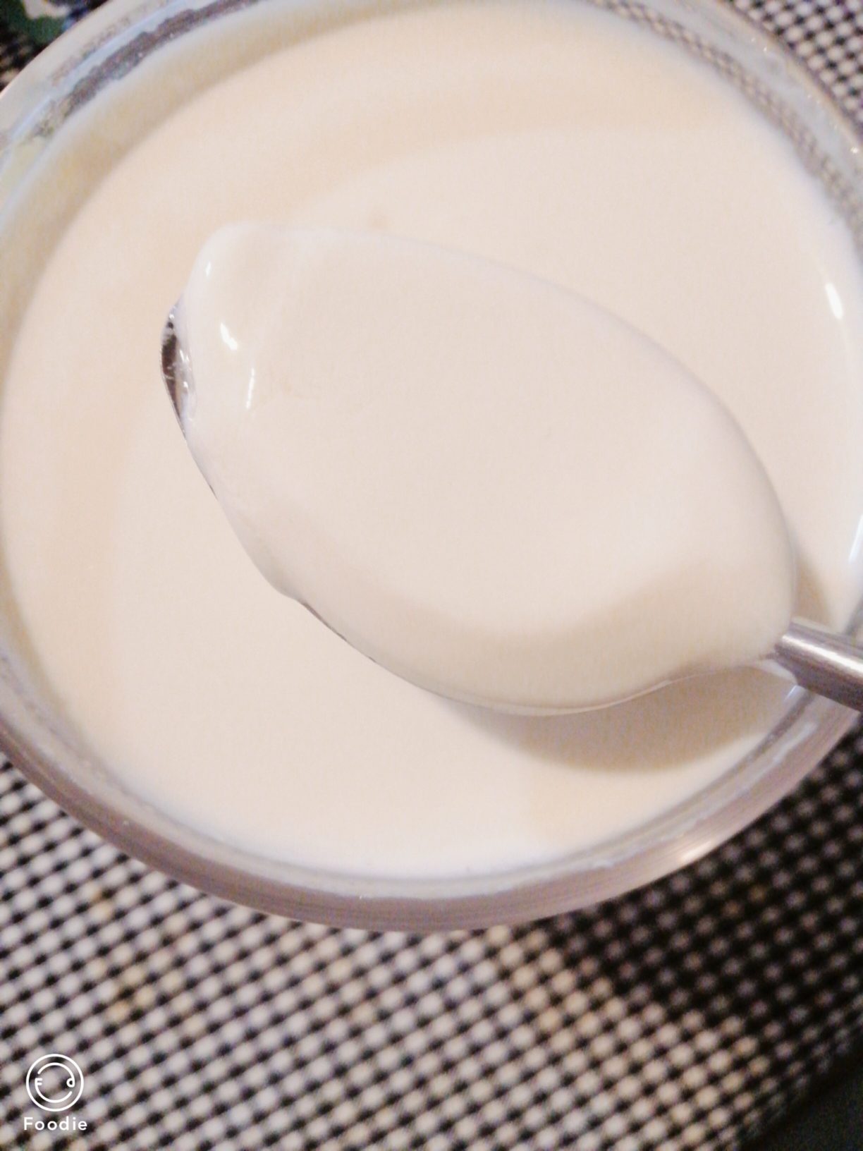自制纯牛奶酸奶的做法