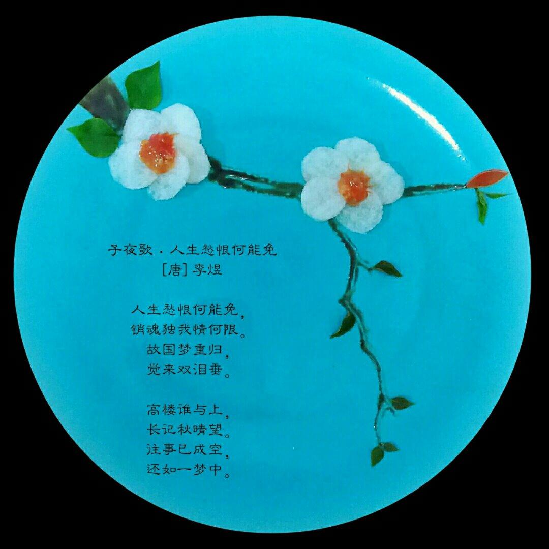我的美丽盘画