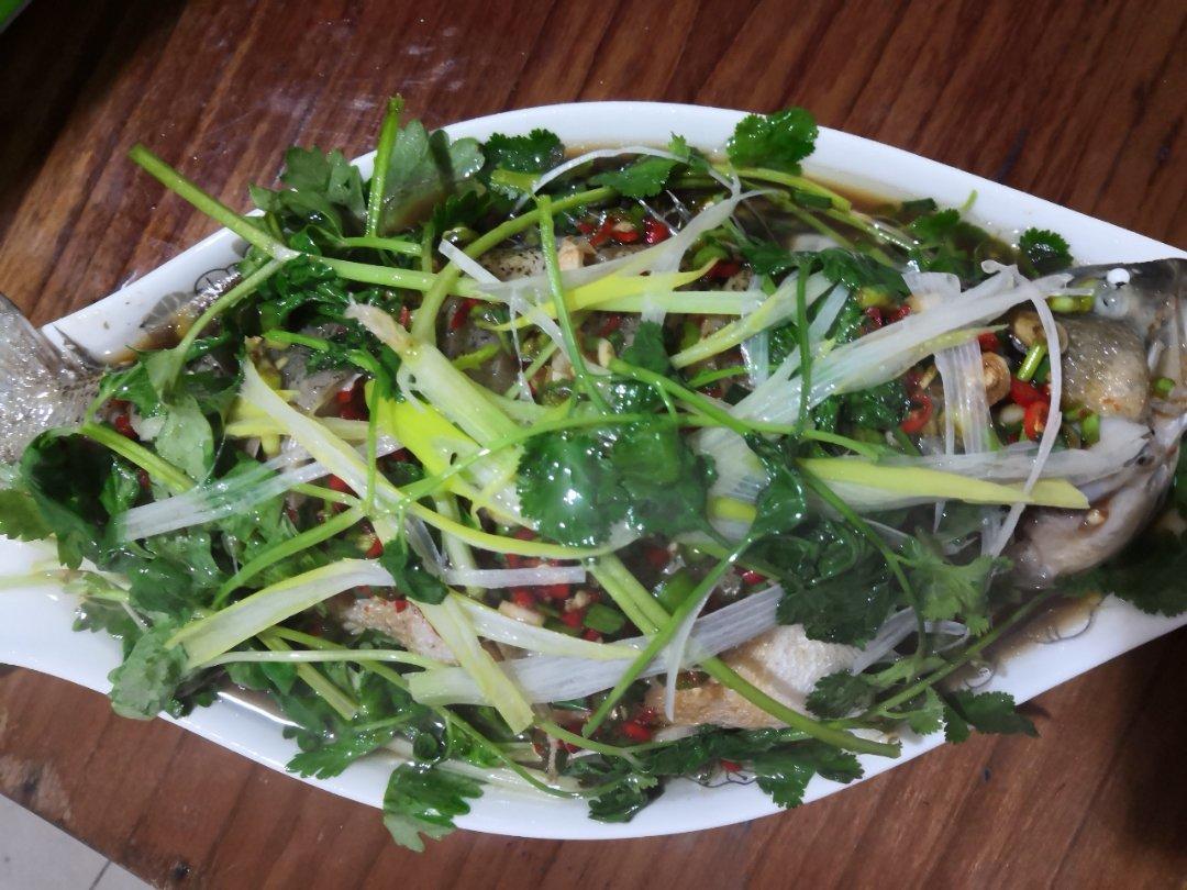 豉油清蒸鱼 清蒸鲈鱼