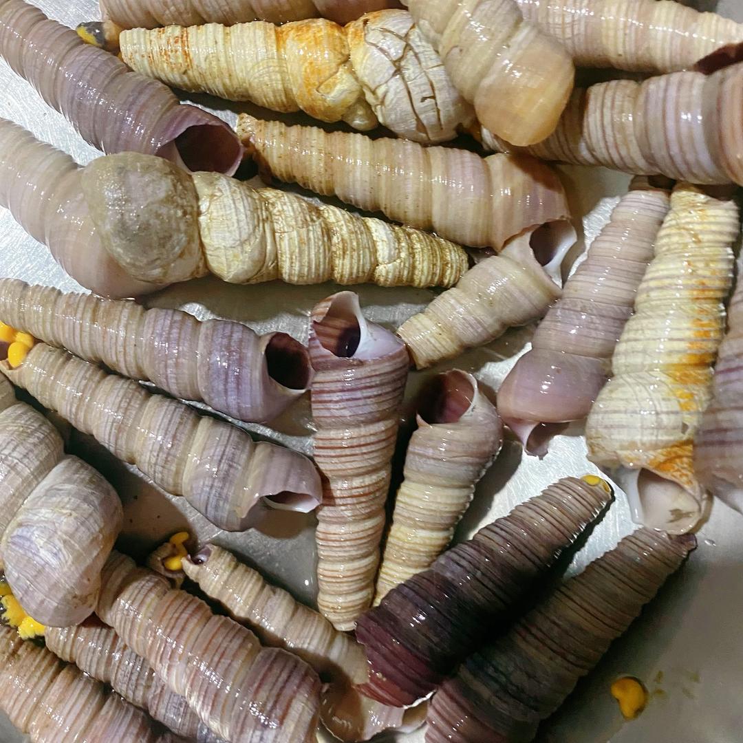 爆炒钉螺的做法 步骤1