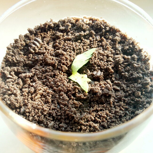 酸奶盆栽/继续延续小清新风/治愈系甜品