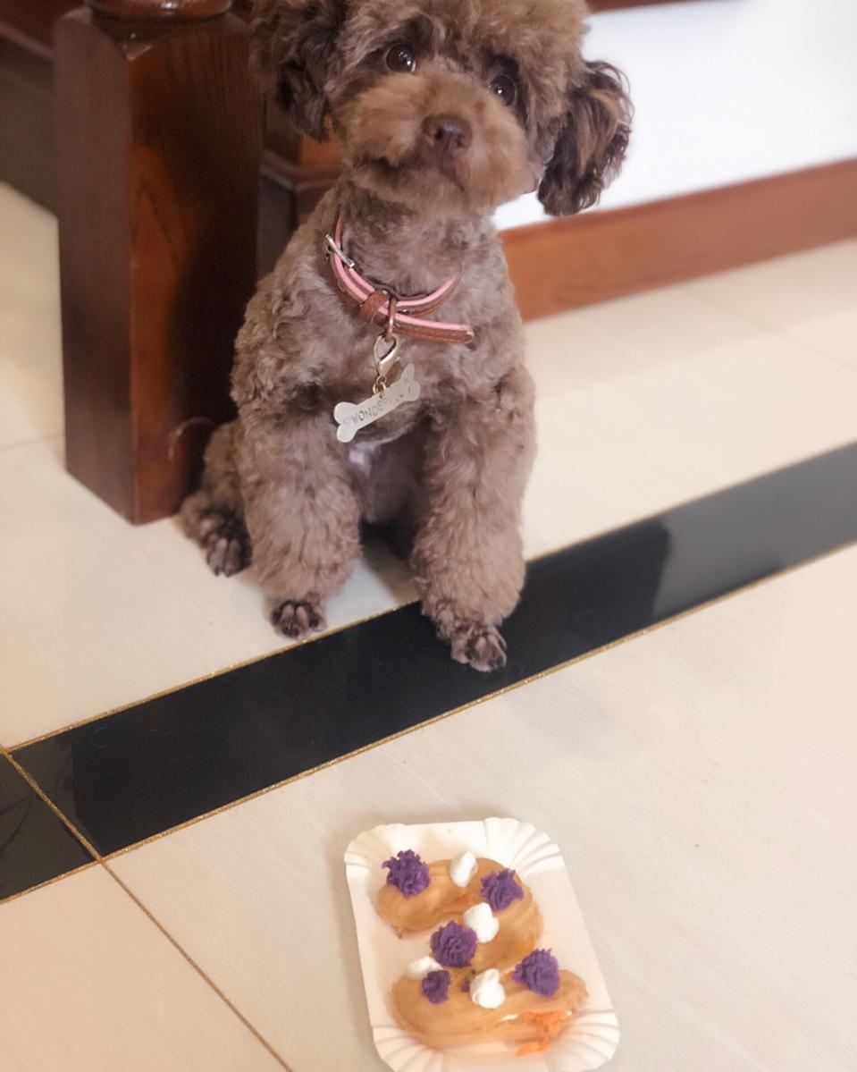 狗狗零食之狗狗泡芙蛋糕（不喜欢狗不要点）