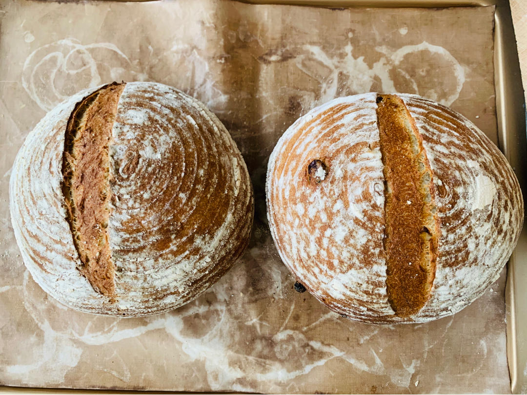 香蕉果仁软欧包～一次发酵老面版