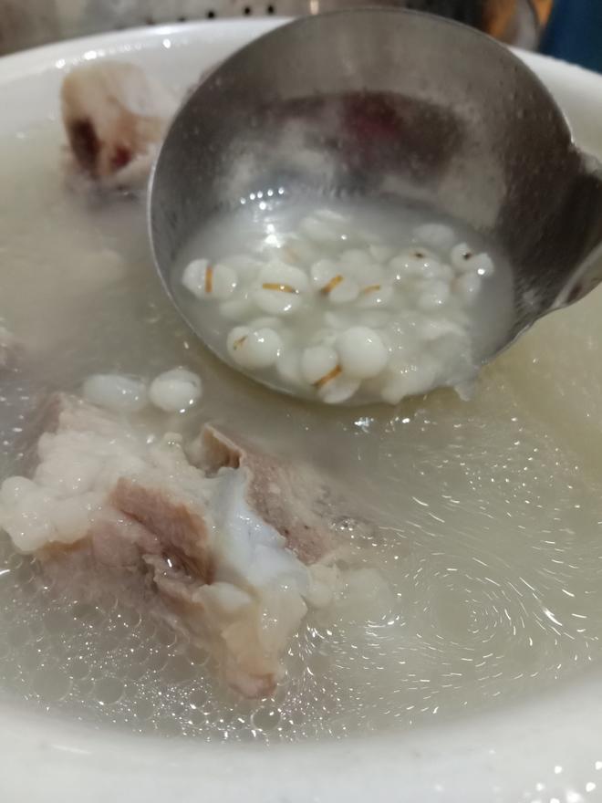 健脾祛湿的冬瓜薏米猪骨汤的做法