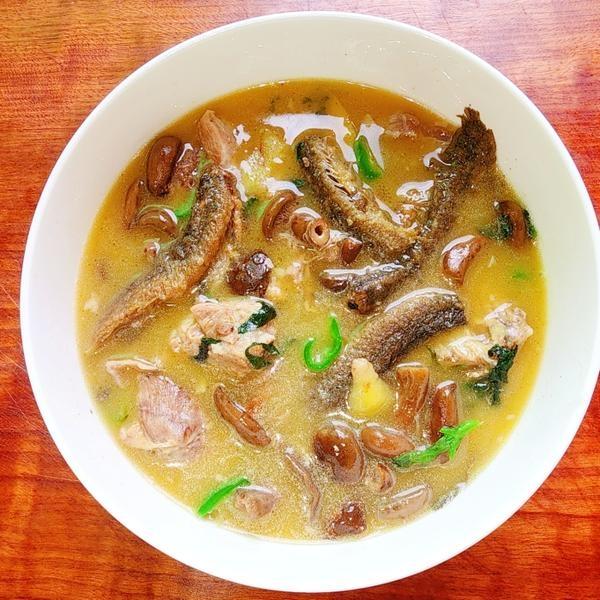 寒菌黄焖泥鳅鸽肉