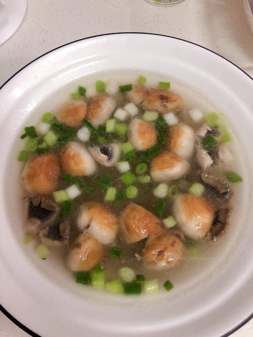 鲜掉眉毛口蘑汤