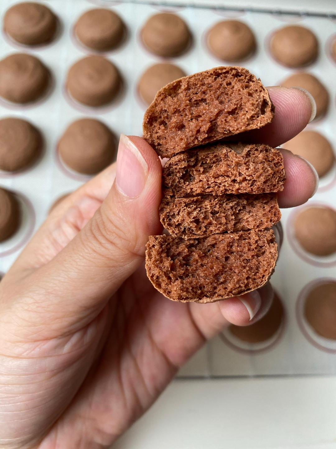 PH100%巧克力马卡龙