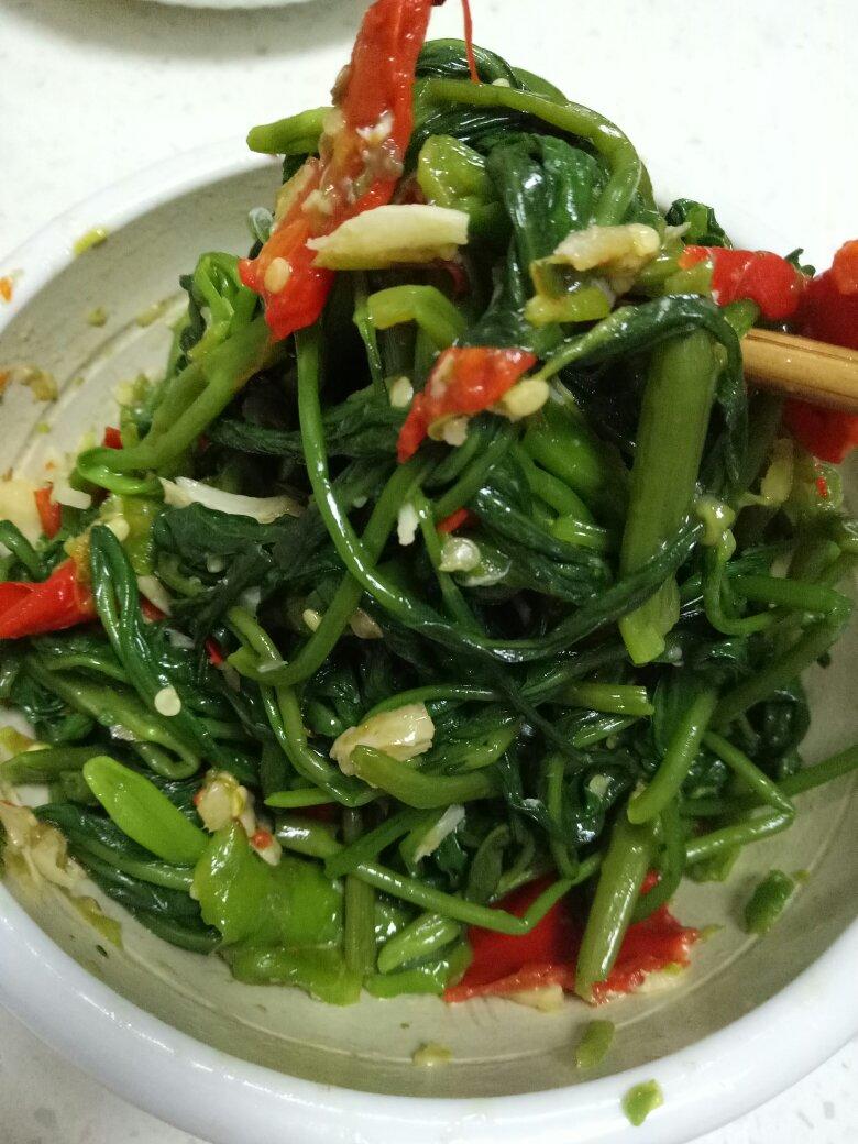 宁都擂钵空心菜