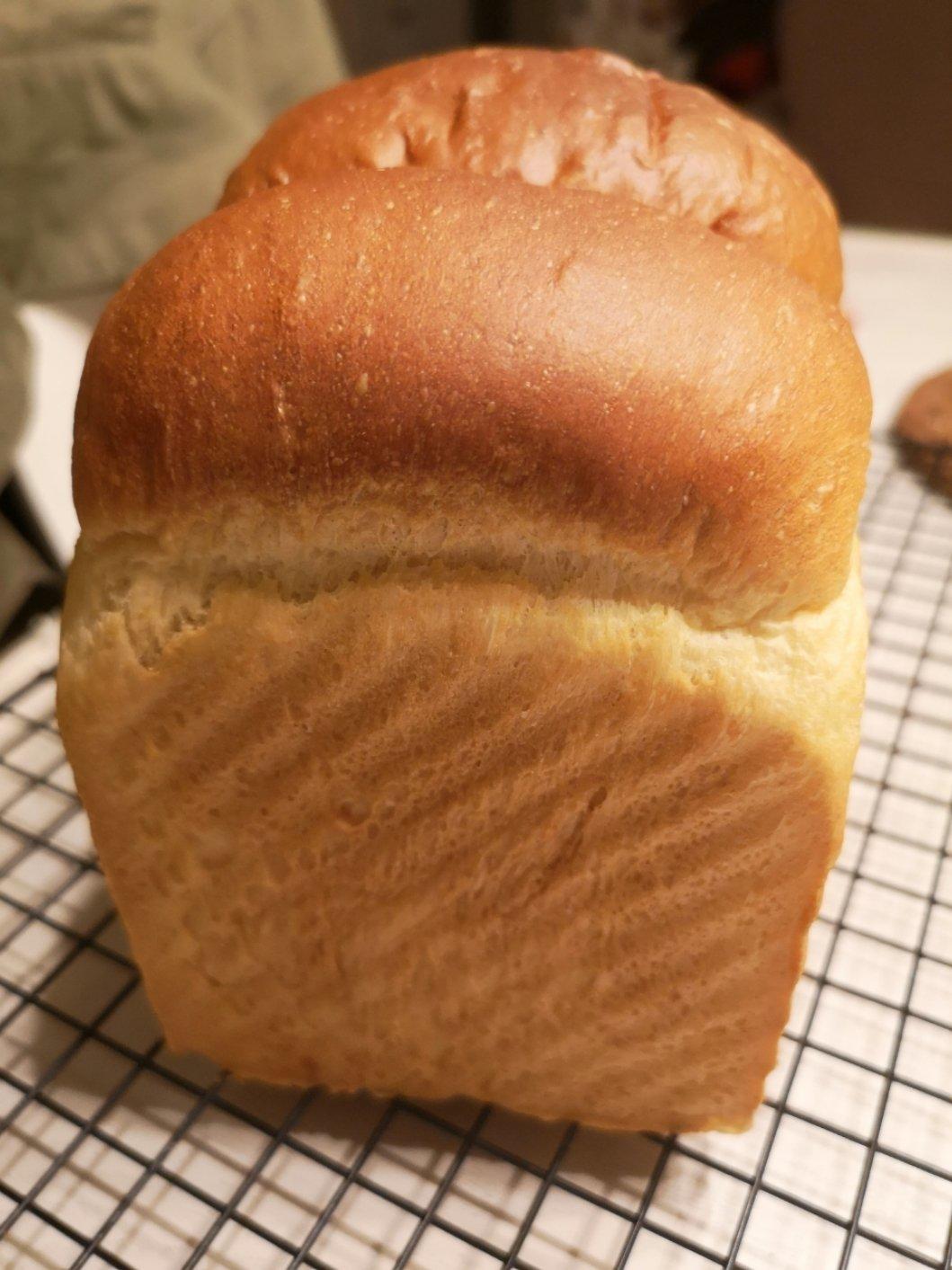 老面包土司！（普通面粉，植物油也可以做出好面包！小时候的味道。。。）