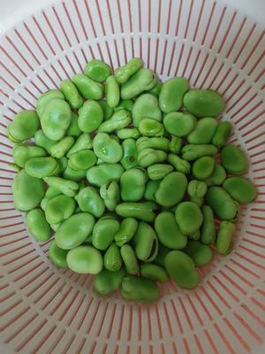寻味春天—葱香蚕豆的做法 步骤1