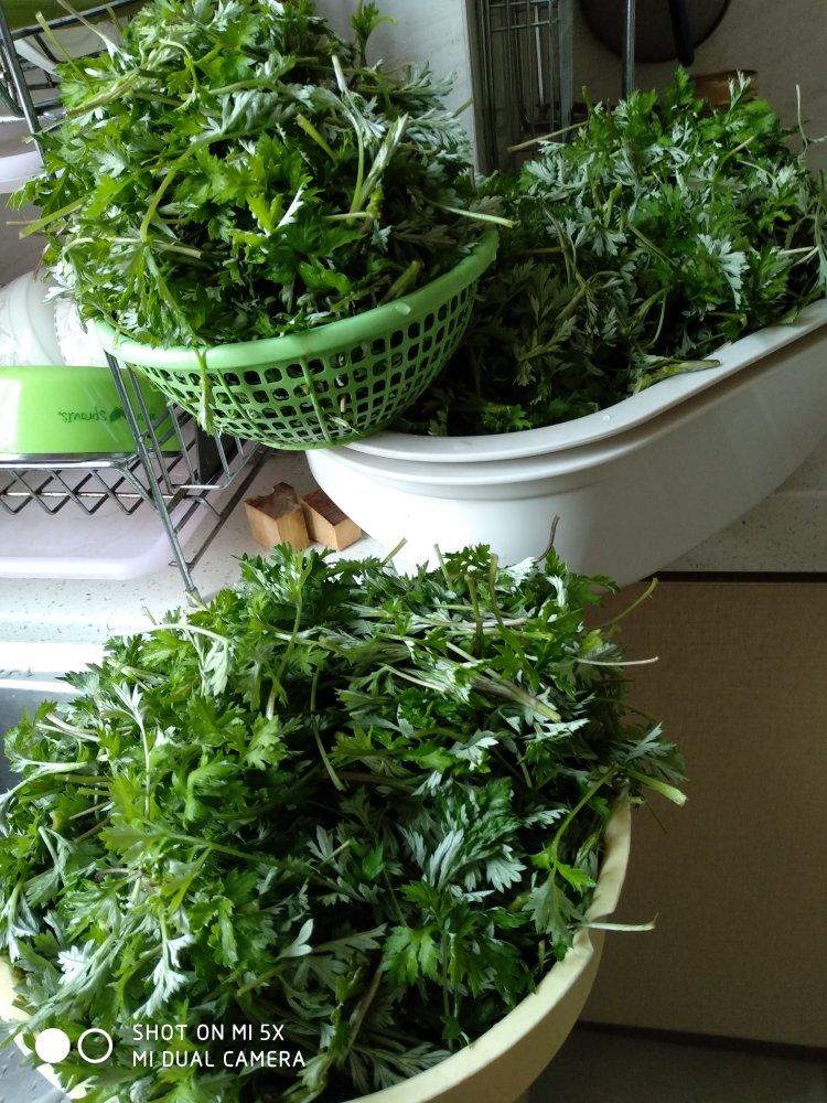 艾草的处理方法