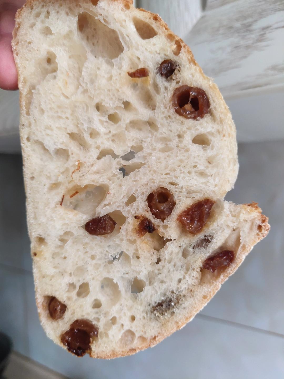 鲁邦种/伯爵T65/铸铁锅基础硬欧包