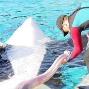 积极向上每一天