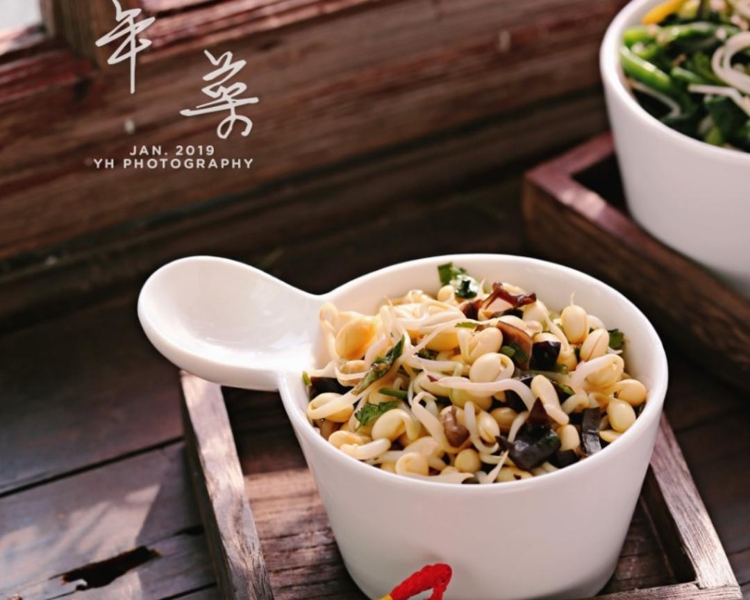 素凉菜系列之 凉拌茴豆芽黑木耳的做法