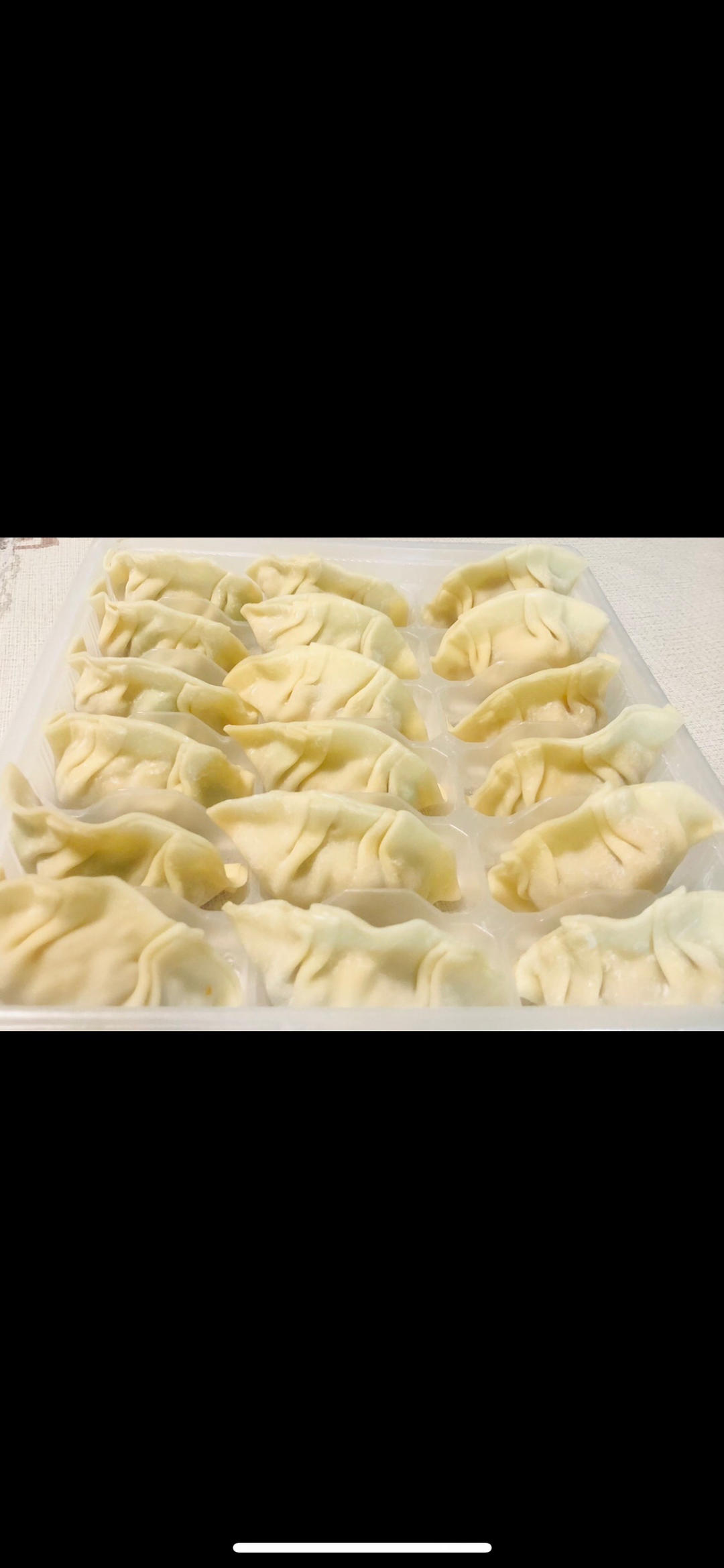 冬瓜羊肉/冬瓜素三鲜饺子