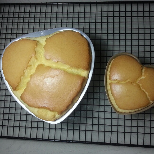 只用淡奶油做的乳酪蛋糕