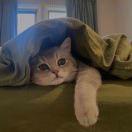 臭臭的日常美食