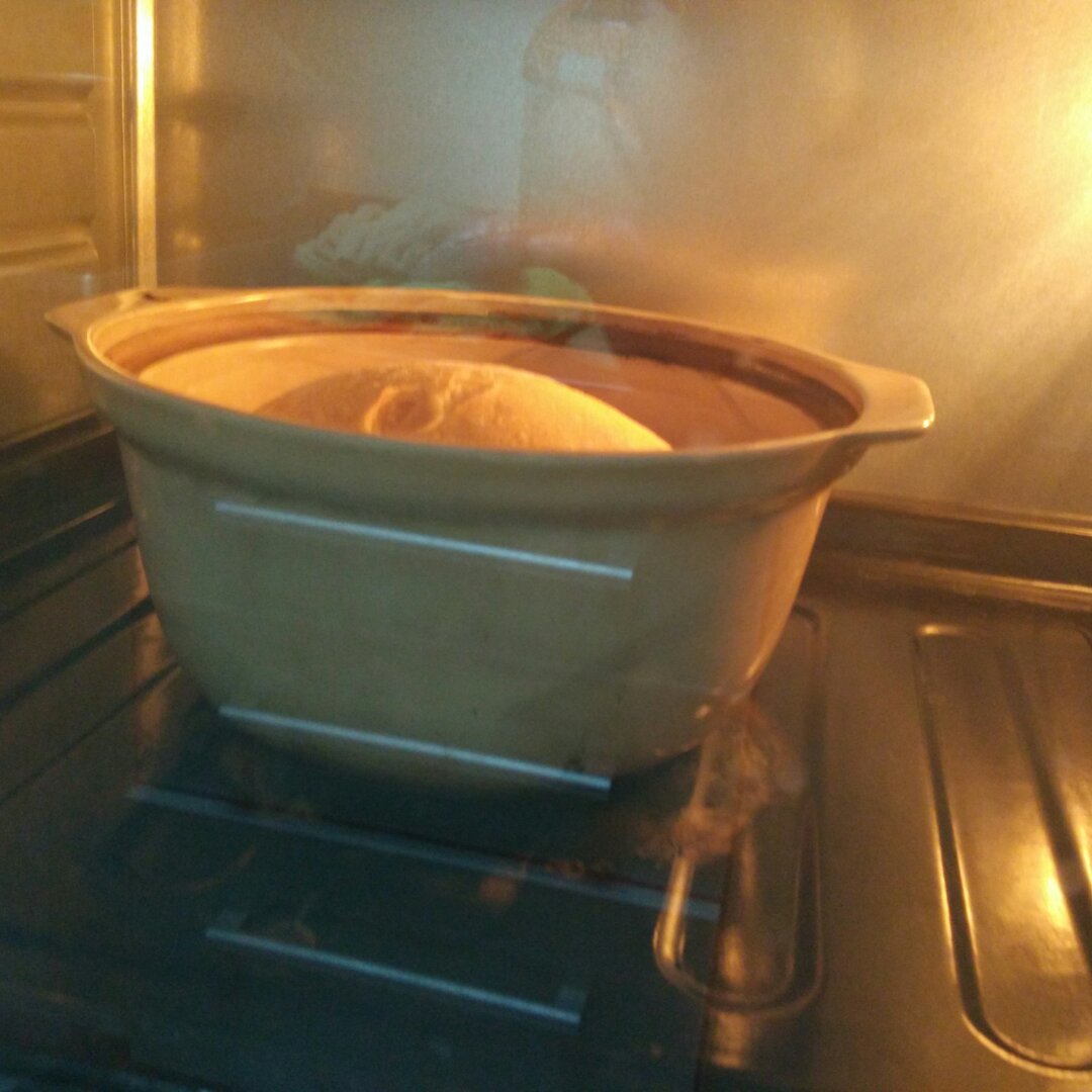 欧包/乡村面包-无油不用揉 No Knead Bread