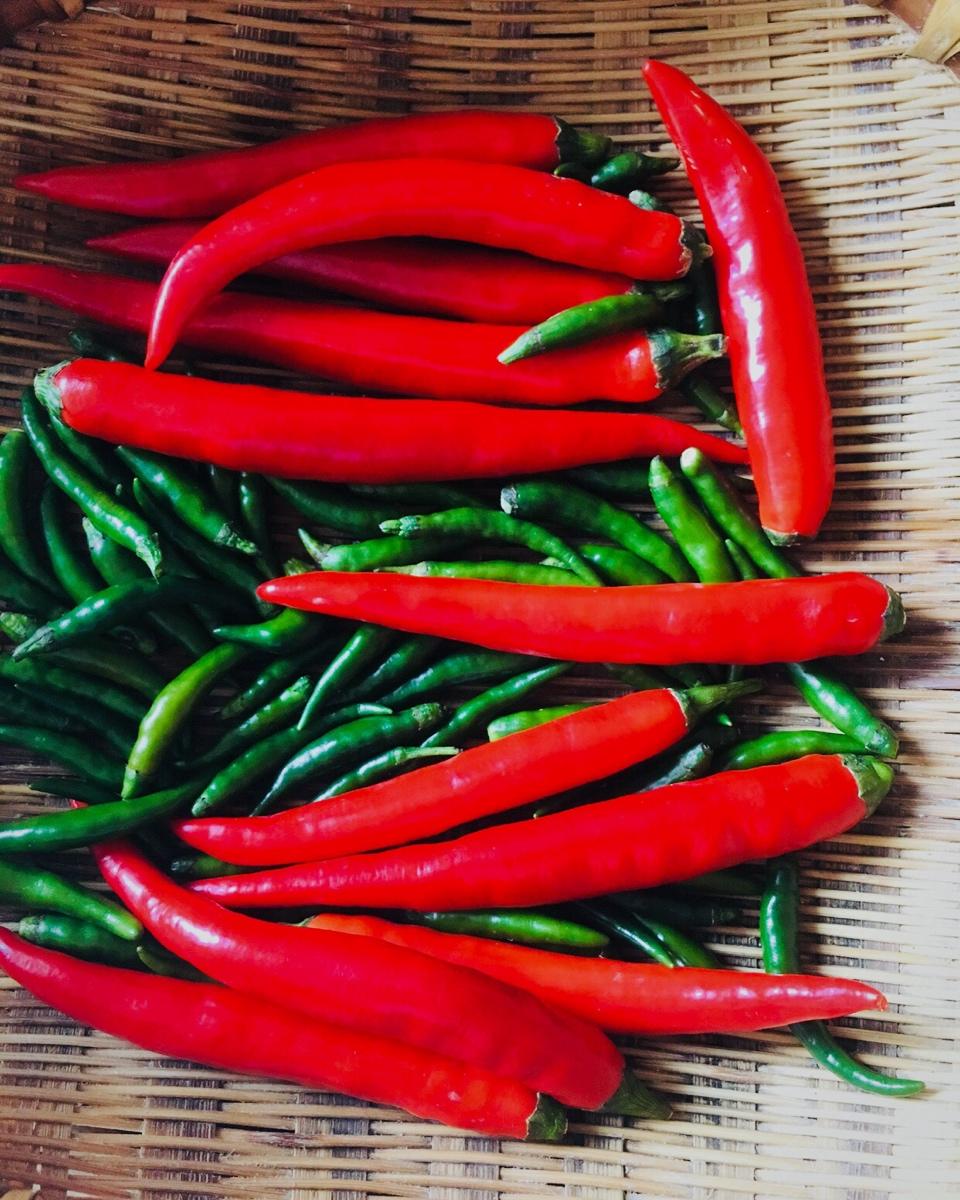 最详细的四川泡菜家常做法