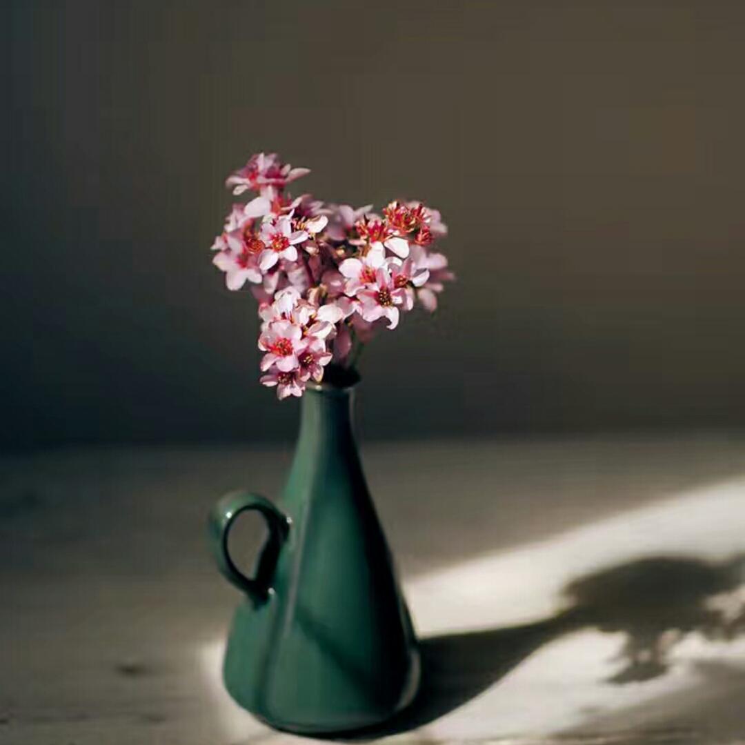 梅青木秀1