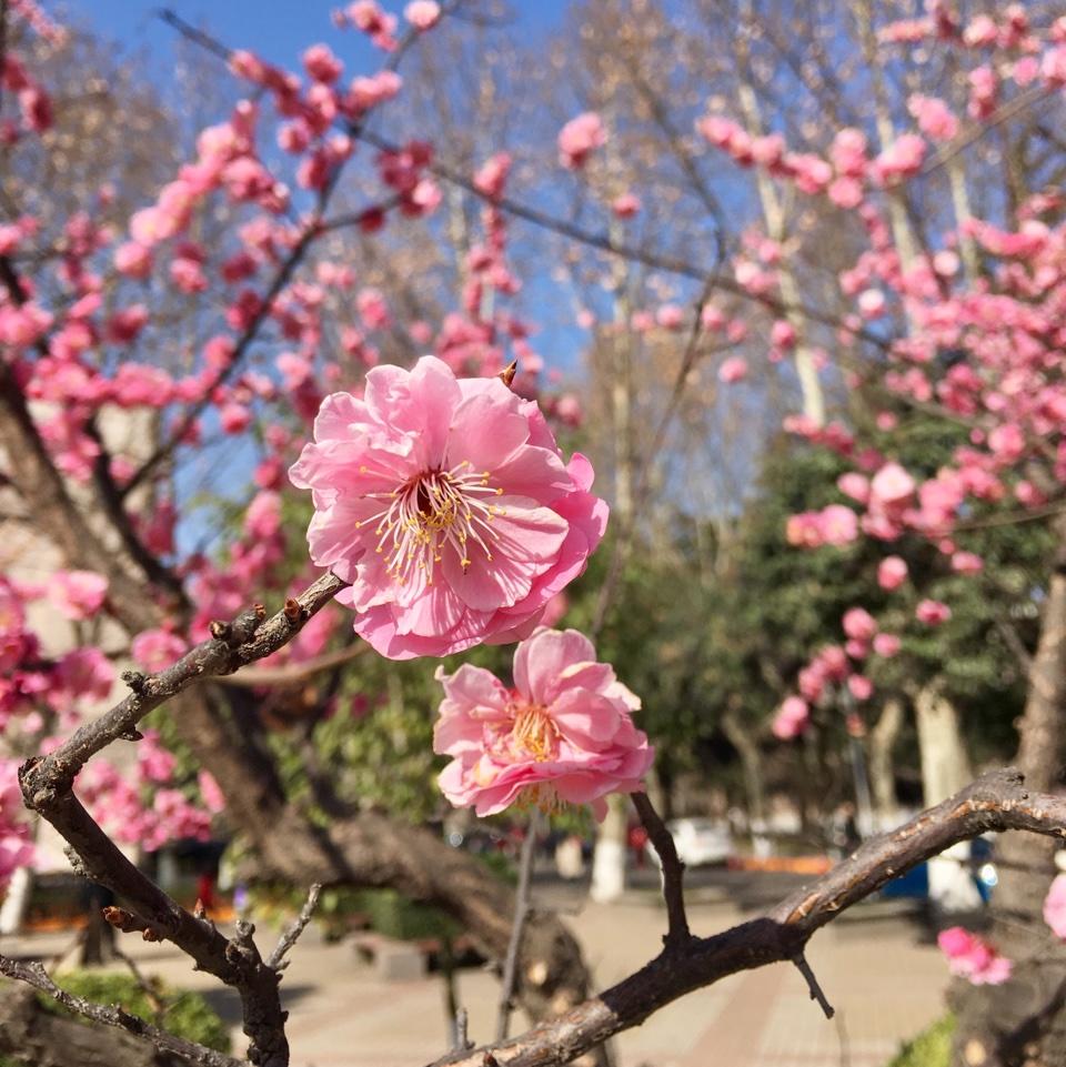 快乐如风点点阳阳