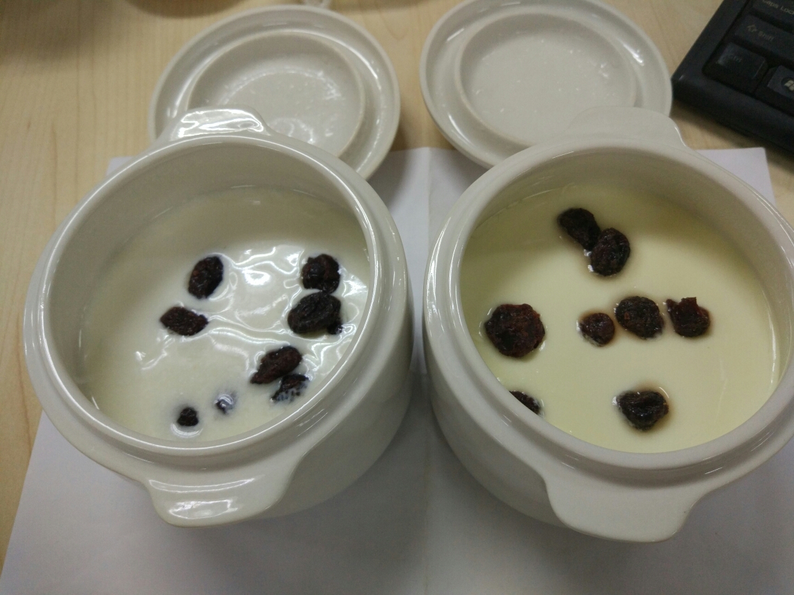 益生菌胶囊制作酸奶电炖锅版的做法 步骤5