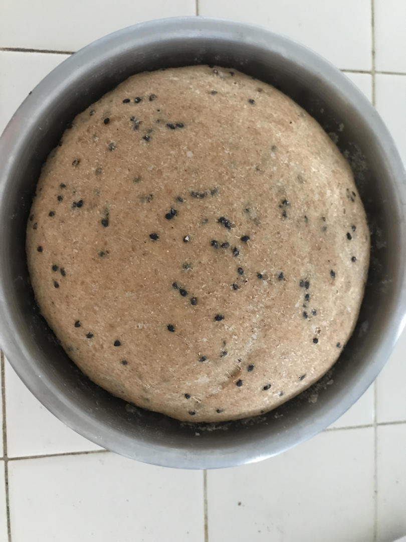 双种芝麻全麦吐司 100%全麦 烫种+波兰种
