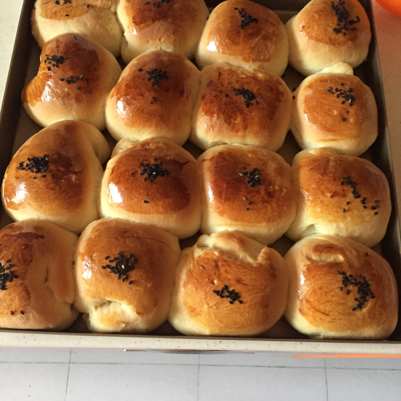 鲜奶油小餐包（一次发酵）