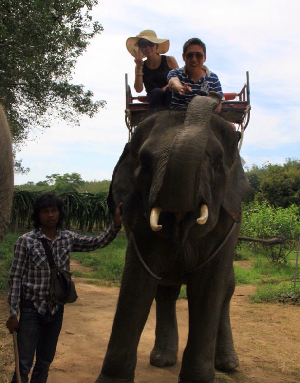 笨得像个蛋的Y仔