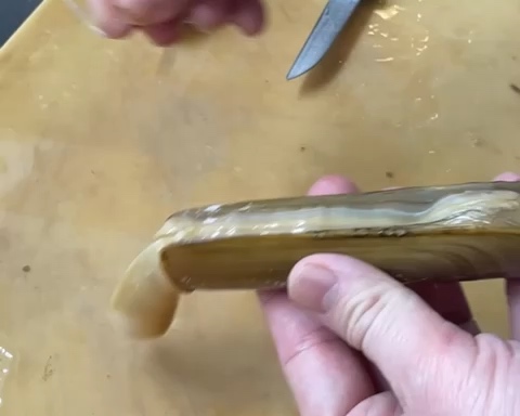 竹蛏王处理➕蒜蓉粉丝蒸的做法