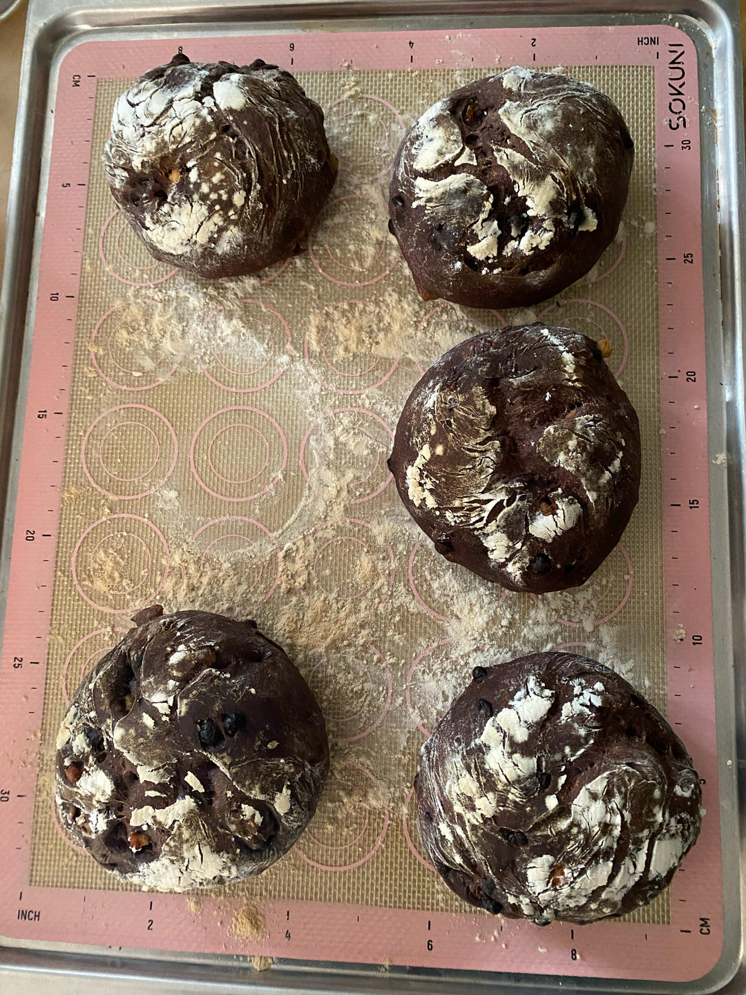 布朗尼面包是什么味儿？到底还不好吃！