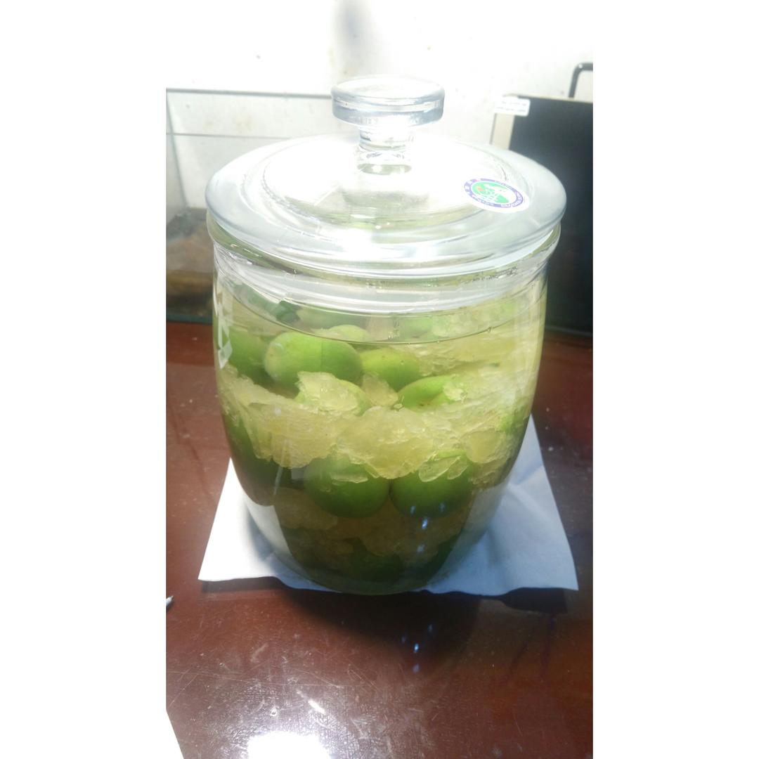 【青梅酒】梅子的沉醉时光（已填坑）